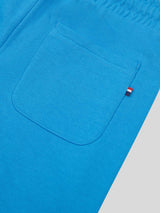 Boys Player 3 Sweat Short in Campanula