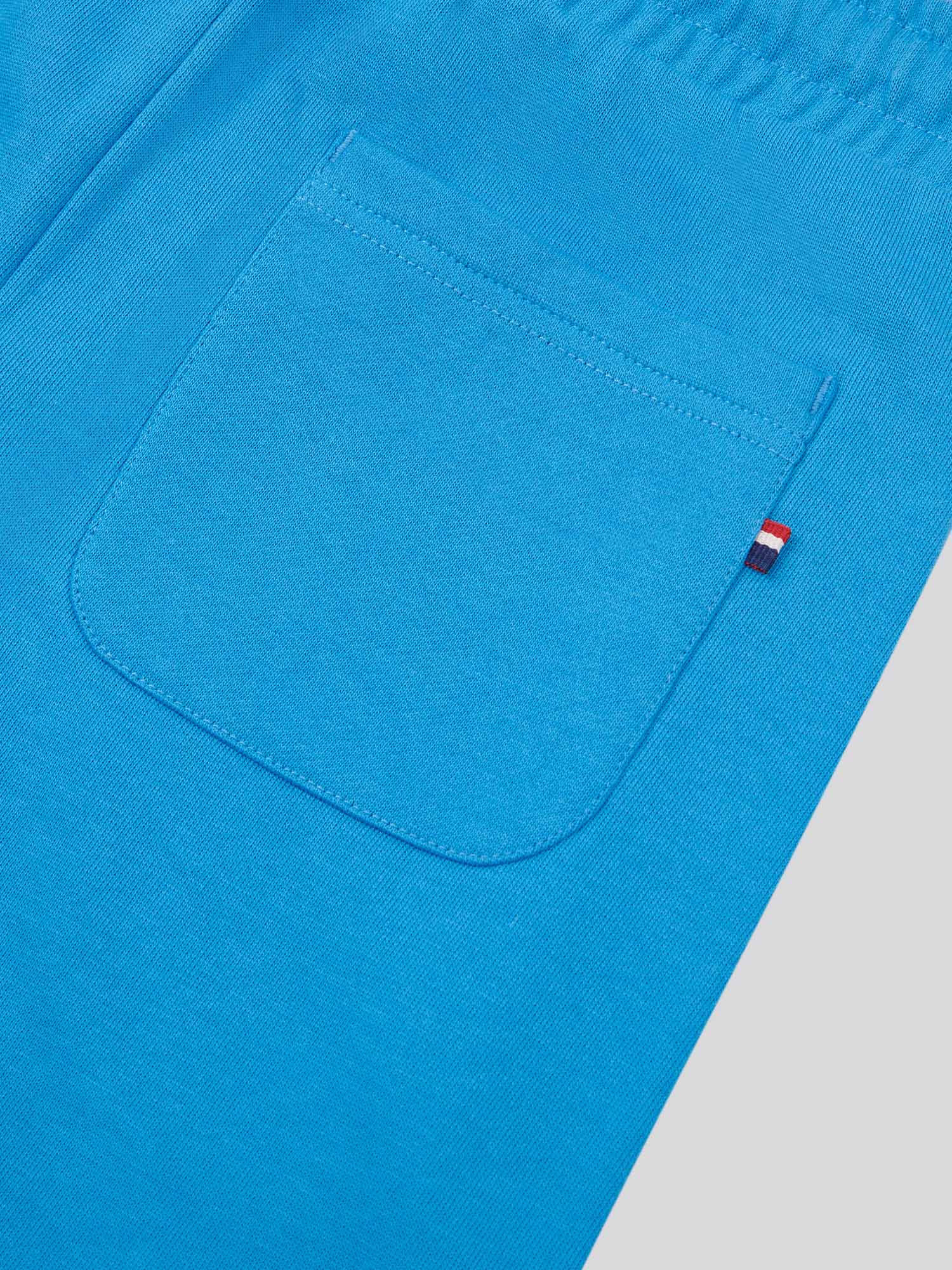 Boys Player 3 Sweat Short in Campanula