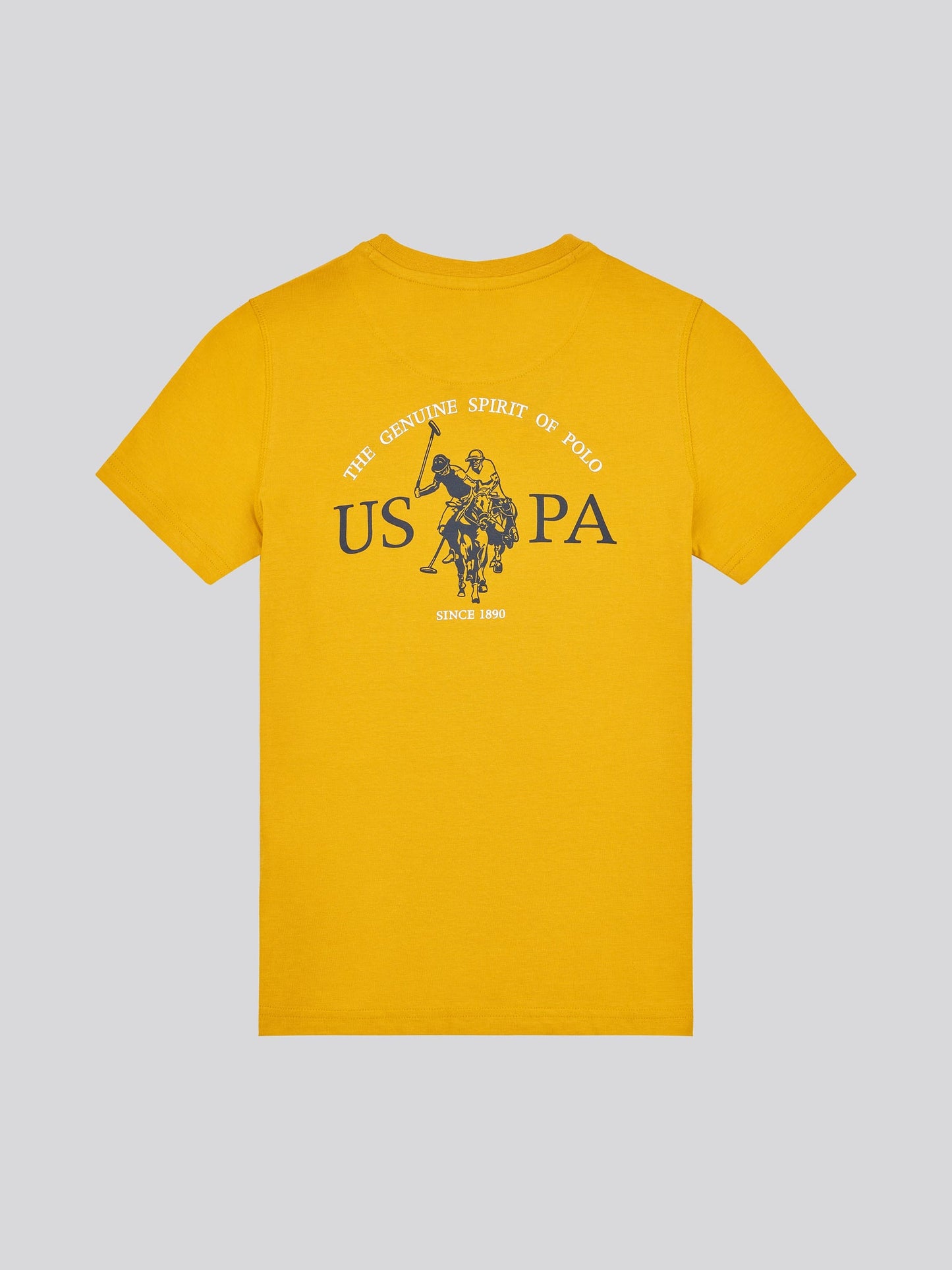 Boys Back Graphic T-Shirt in Mango Mojito