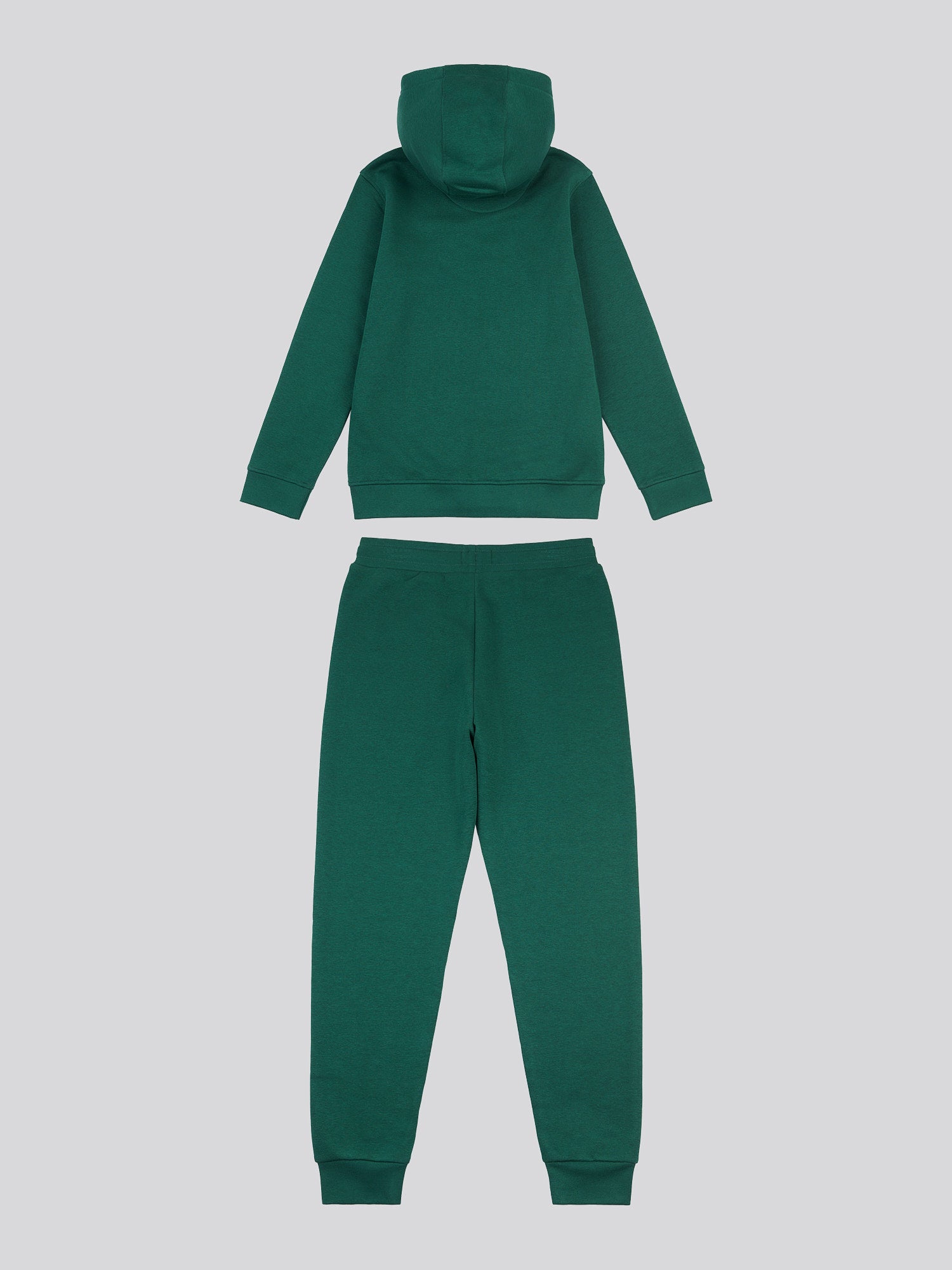 Boys Double Horsemen Hoodie & Jogger Set in Rain Forest