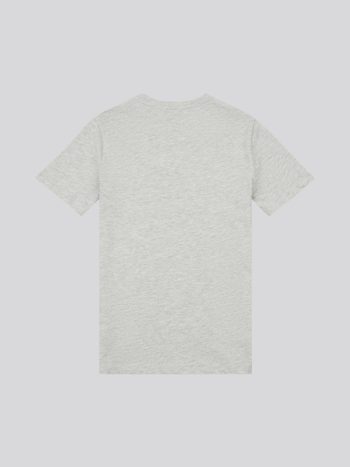 Boys Signature Arch Print T-Shirt in Mid Grey Marl