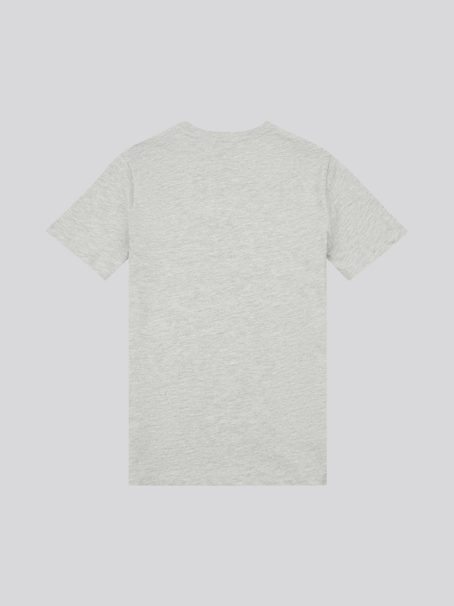 Boys Signature Arch Print T-Shirt in Mid Grey Marl