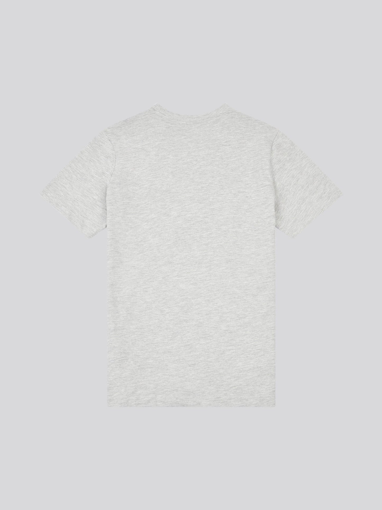 Boys USPA Print Graphic T-Shirt in Mid Grey Marl