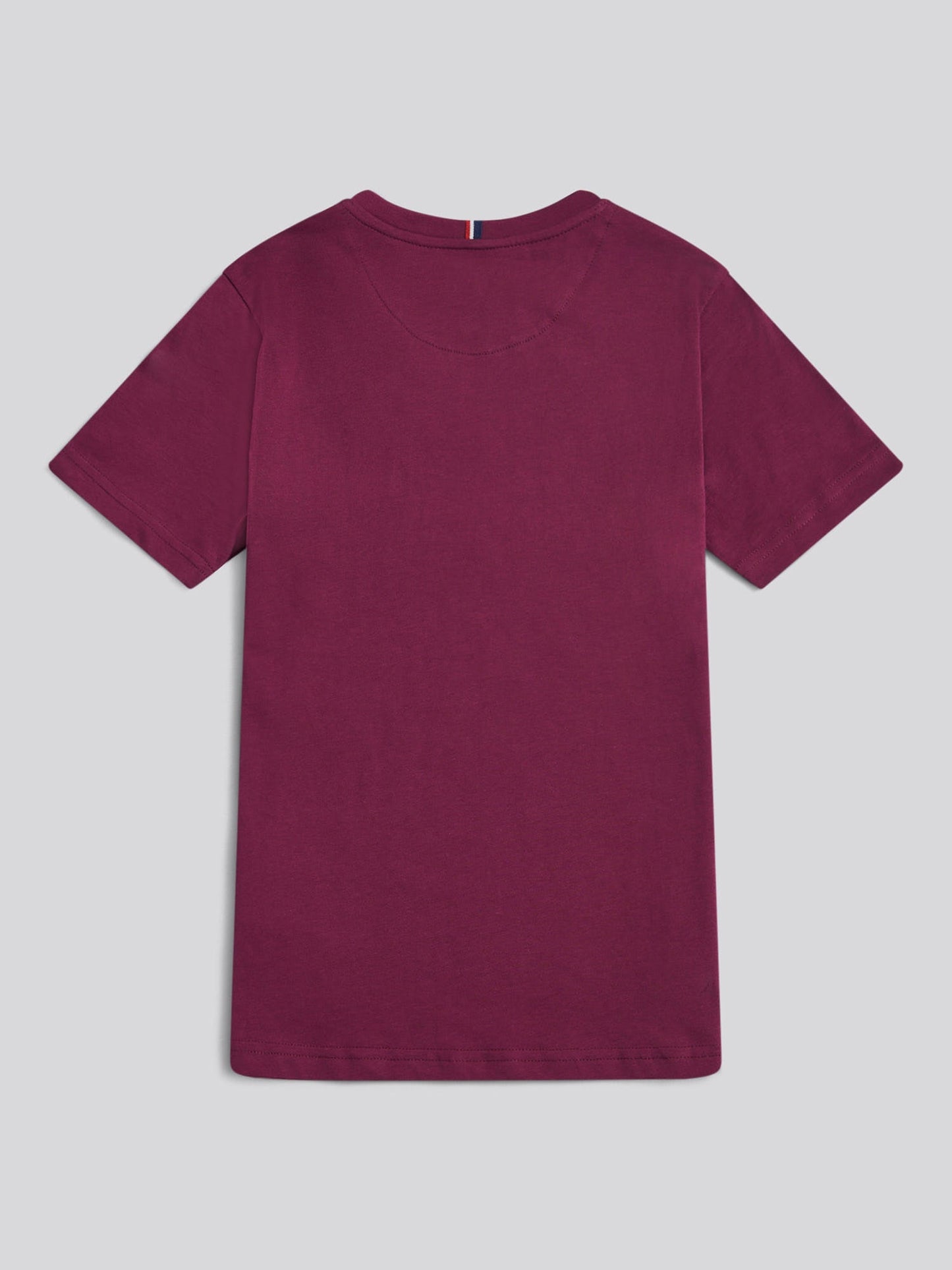 Boys Texture Double Horsemen T-Shirt Grape Wine