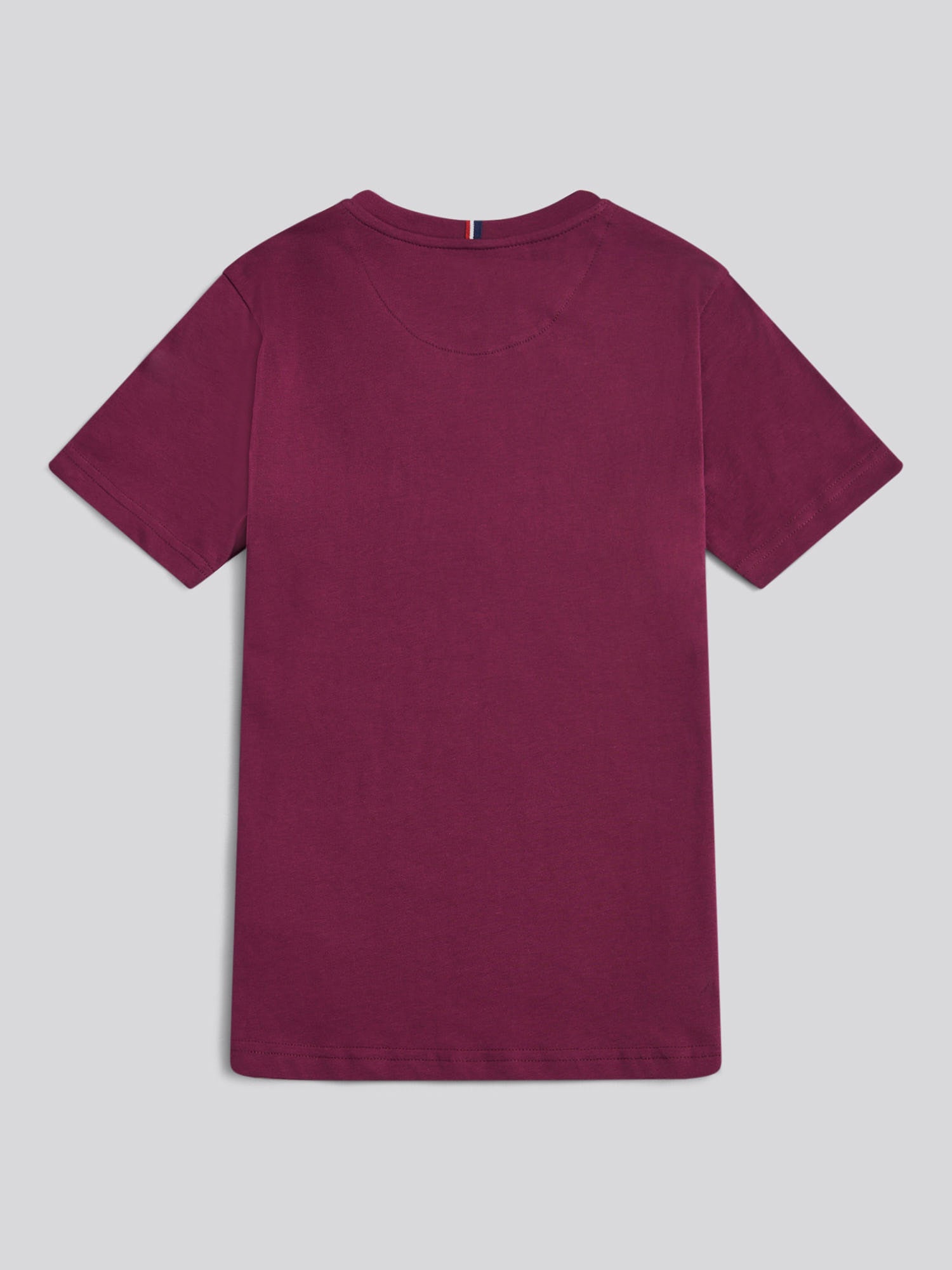 Boys Texture Double Horsemen T-Shirt Grape Wine