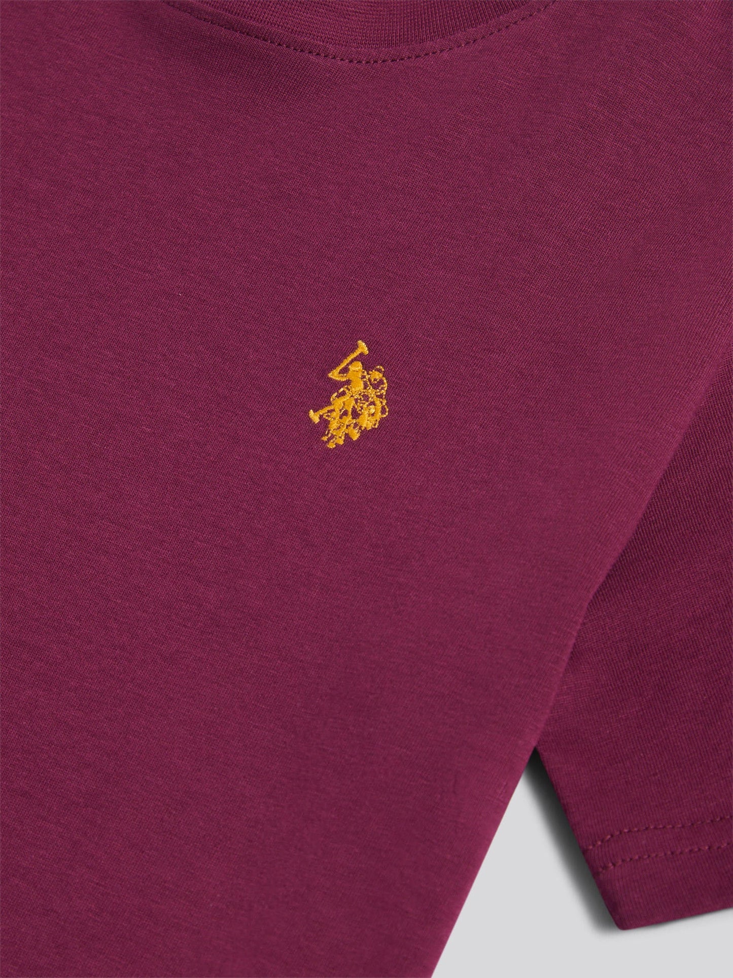 Boys Texture Double Horsemen T-Shirt Grape Wine