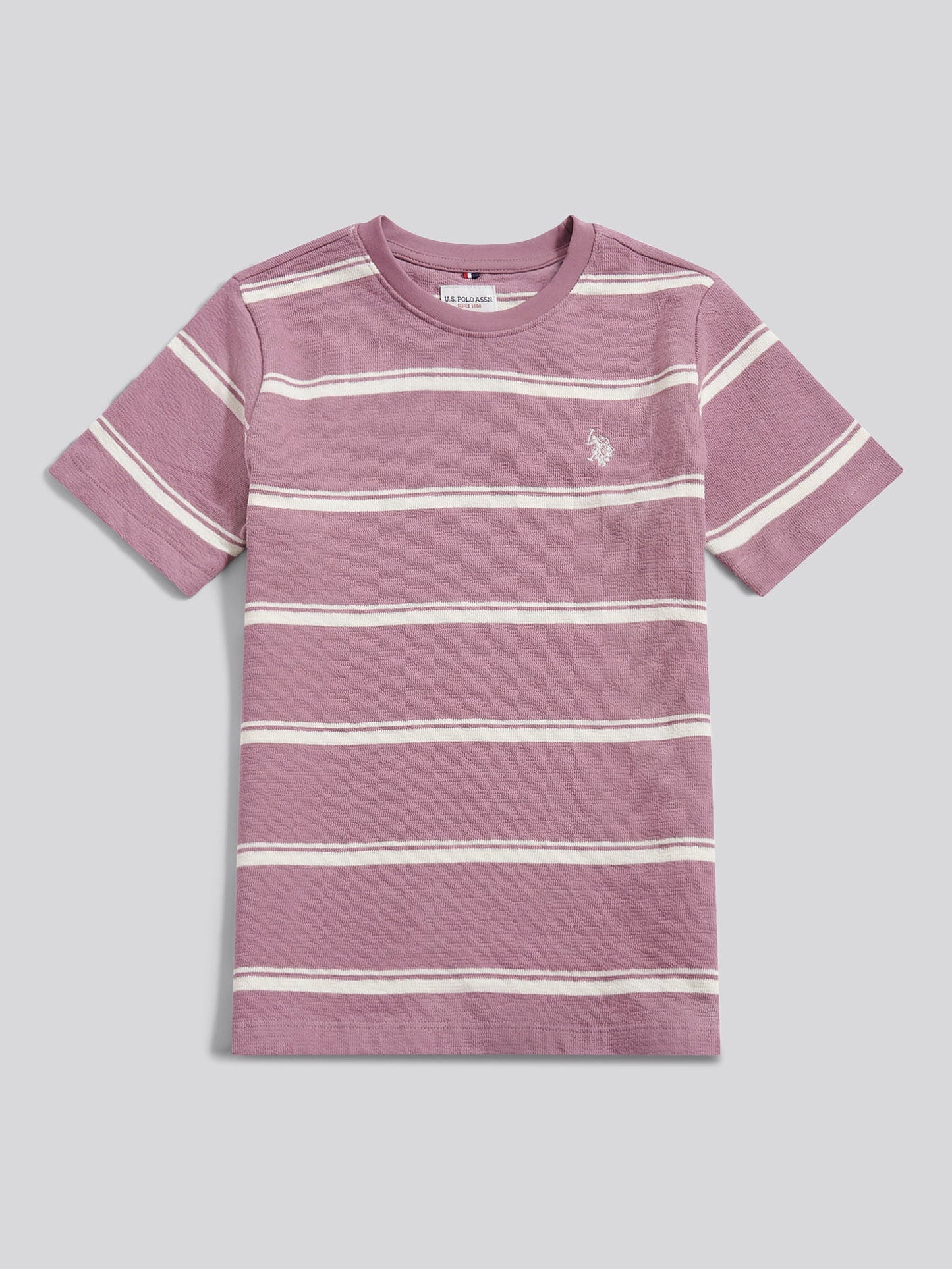 Boys Terry Stripe T-Shirt in Elderberry
