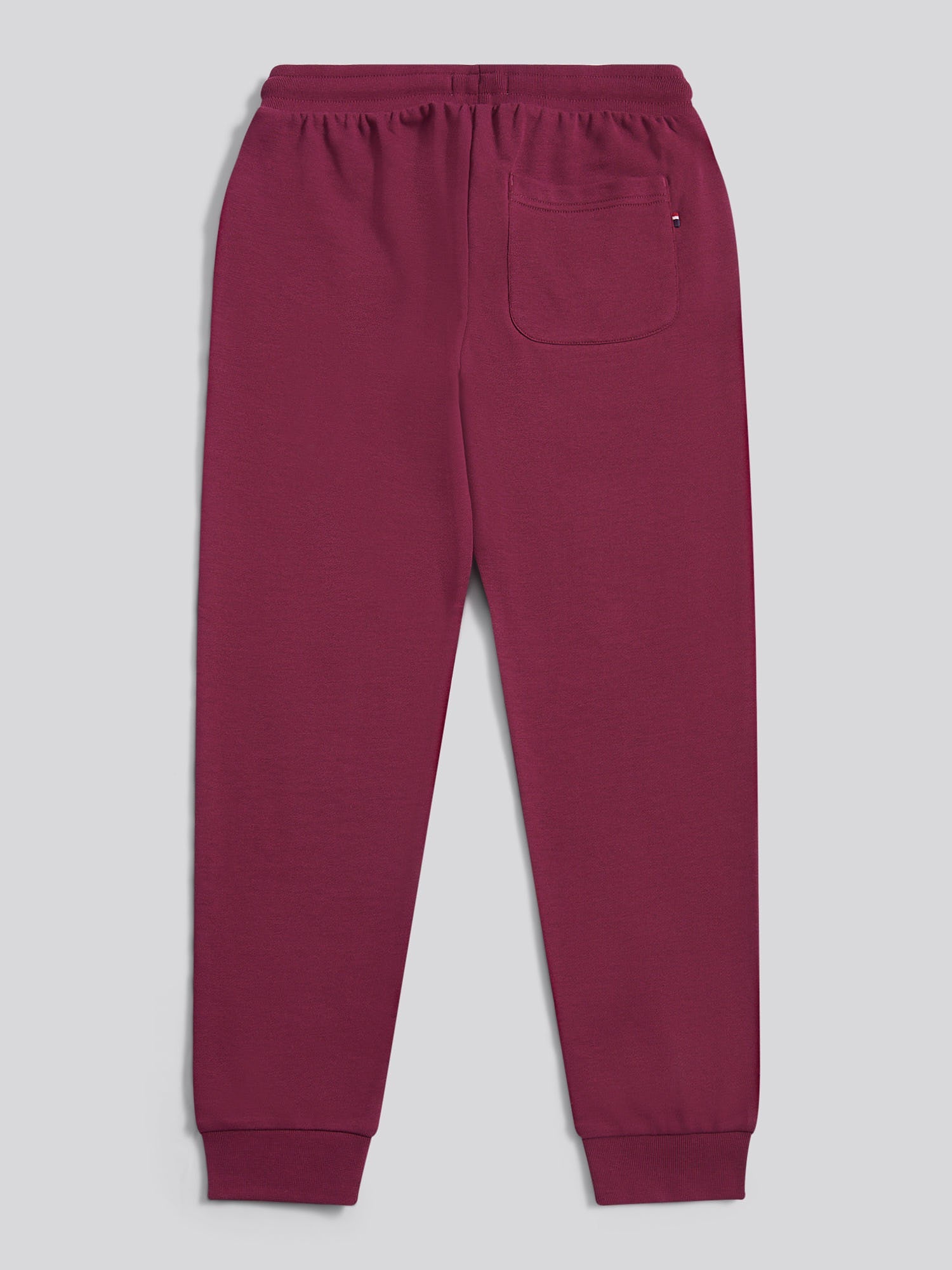 Boys Double Horsemen Loopback Jogger Grape Wine