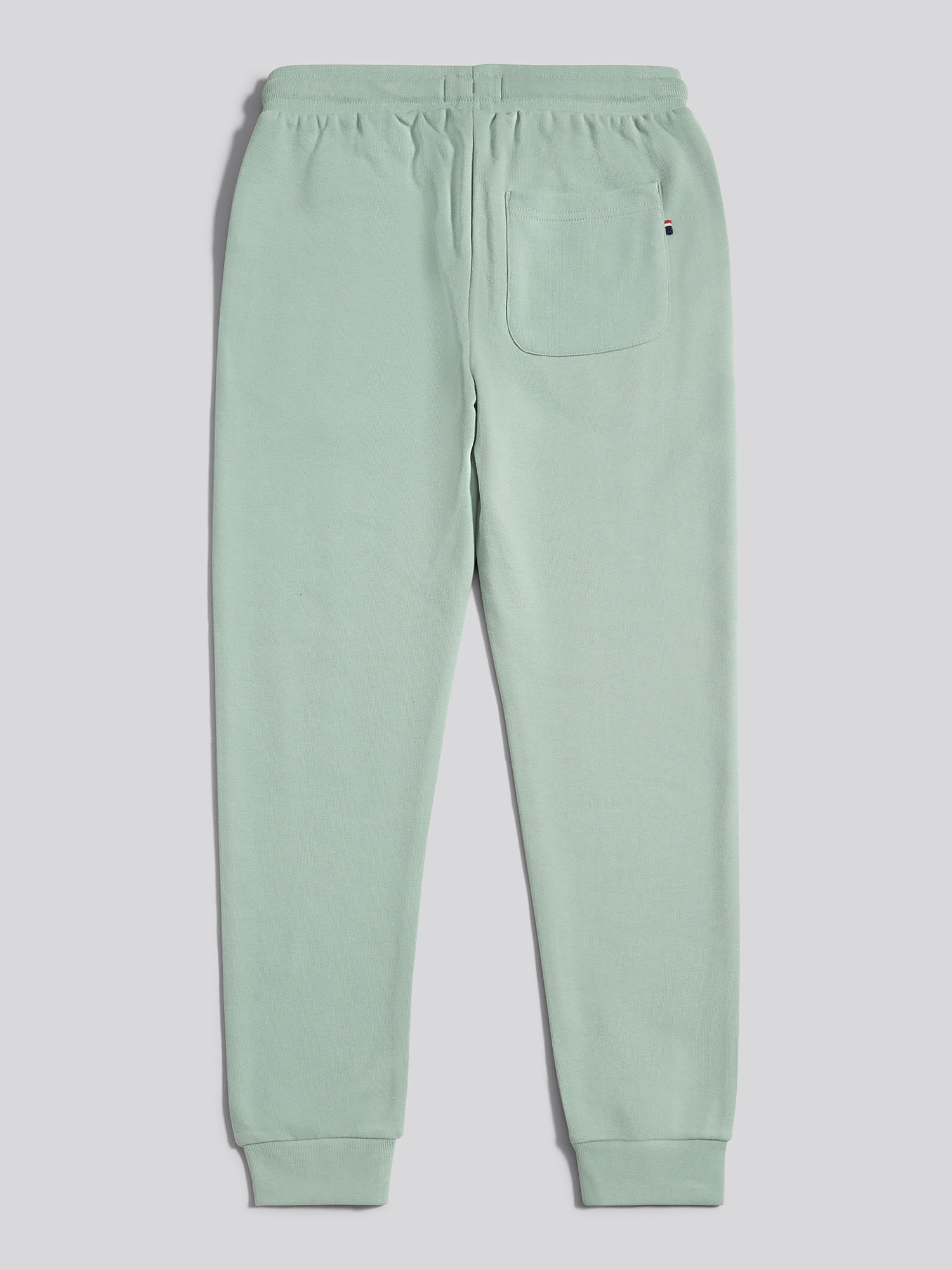 Boys Double Horsemen Loopback Jogger Iceberg Green