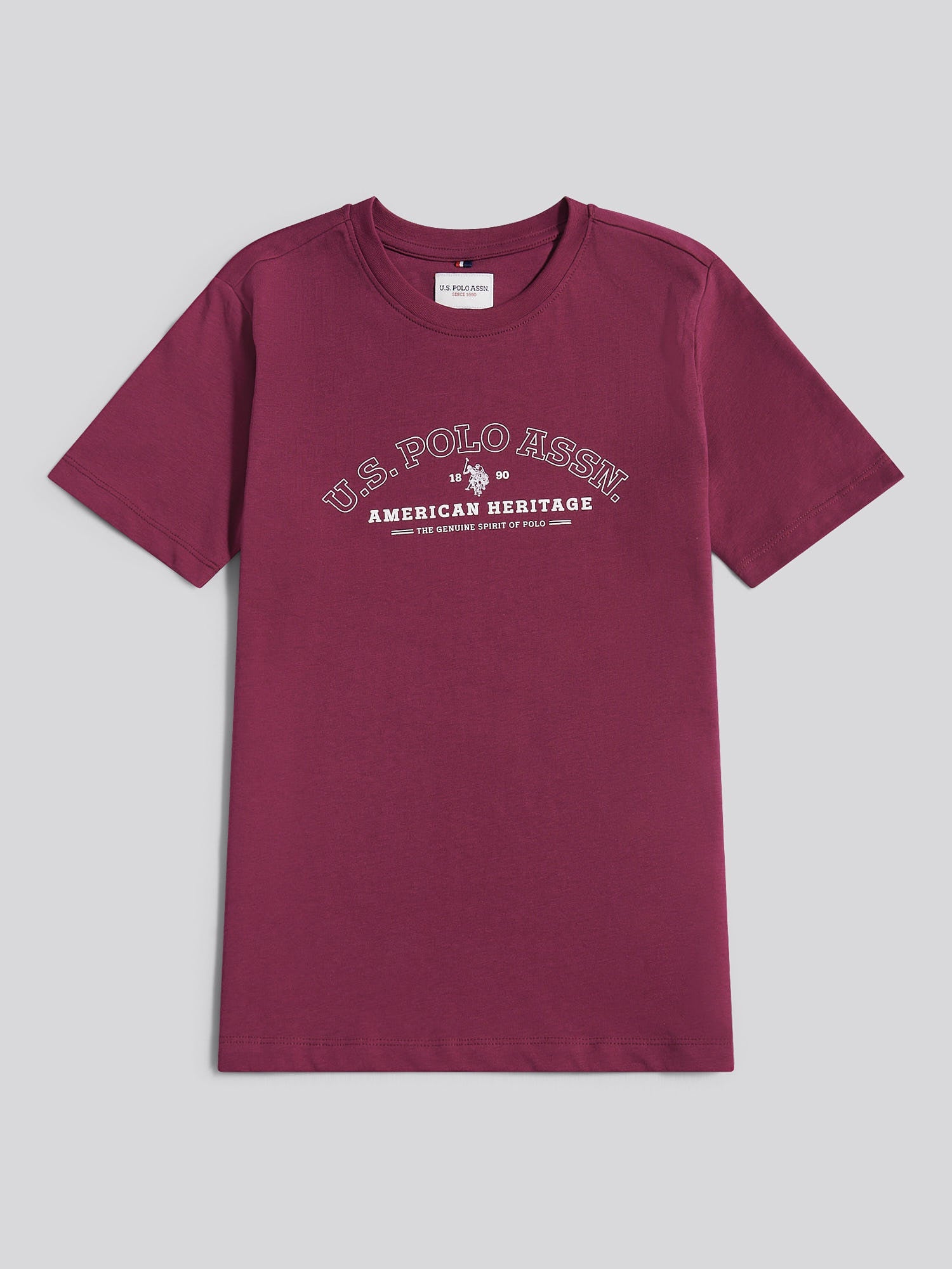 Boys Heritage Graphic Print T-Shirt in Grape Wine