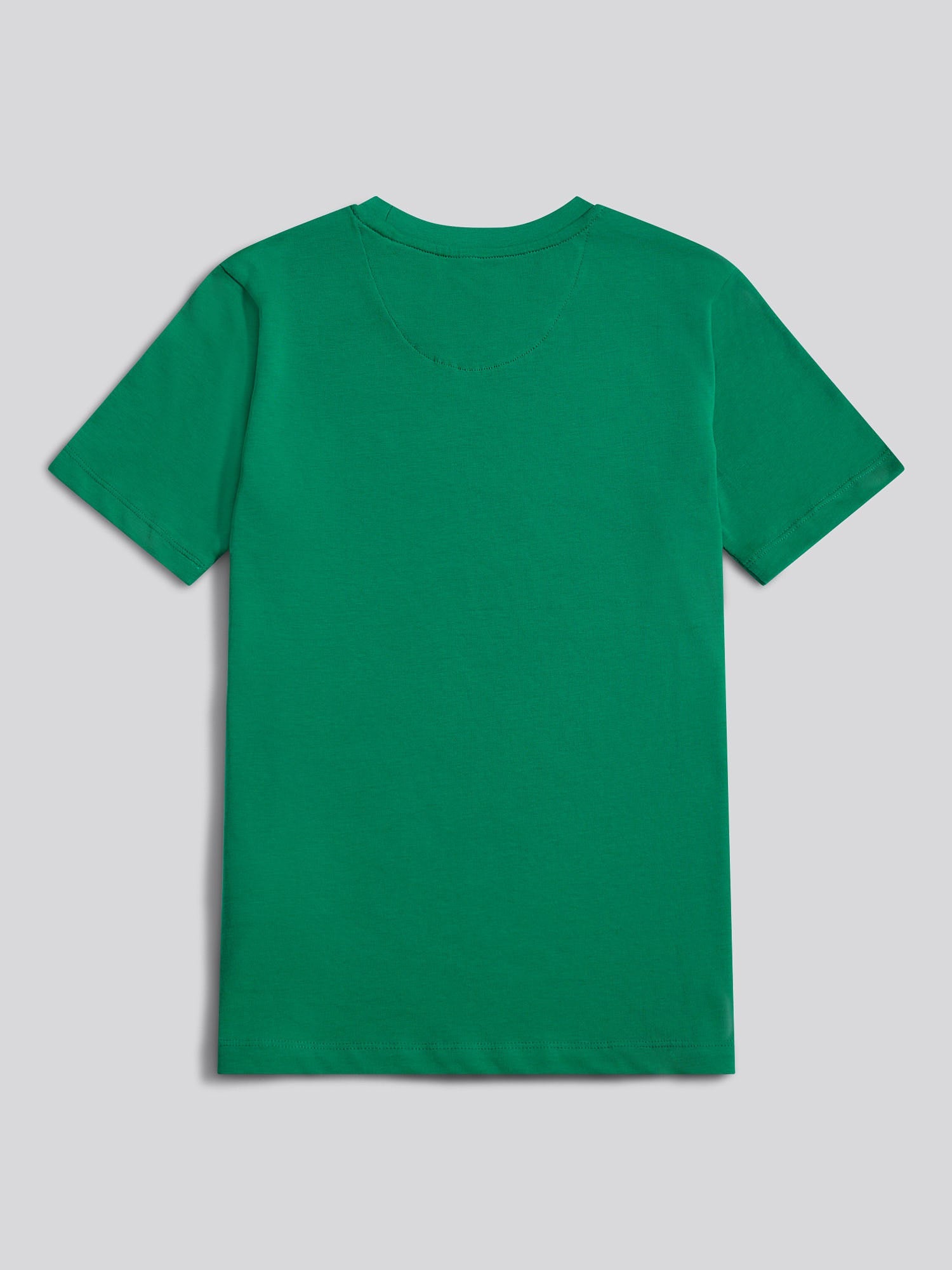 Boys Heritage Graphic Print T-Shirt in Lush Meadow