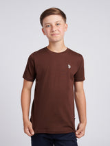 Boys USPA Back Graphic T-Shirt in Chocolate Martini