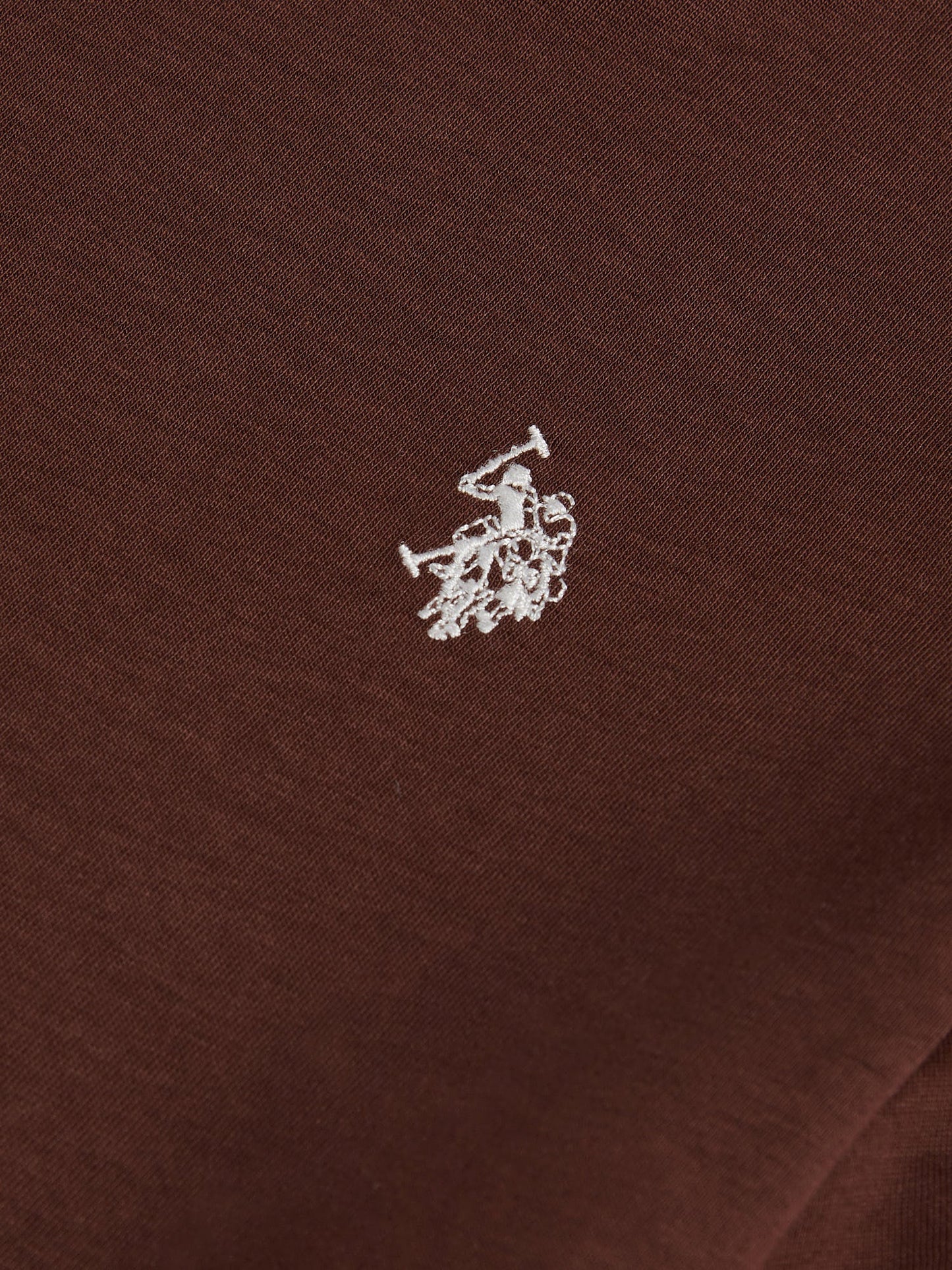 Boys USPA Back Graphic T-Shirt in Chocolate Martini