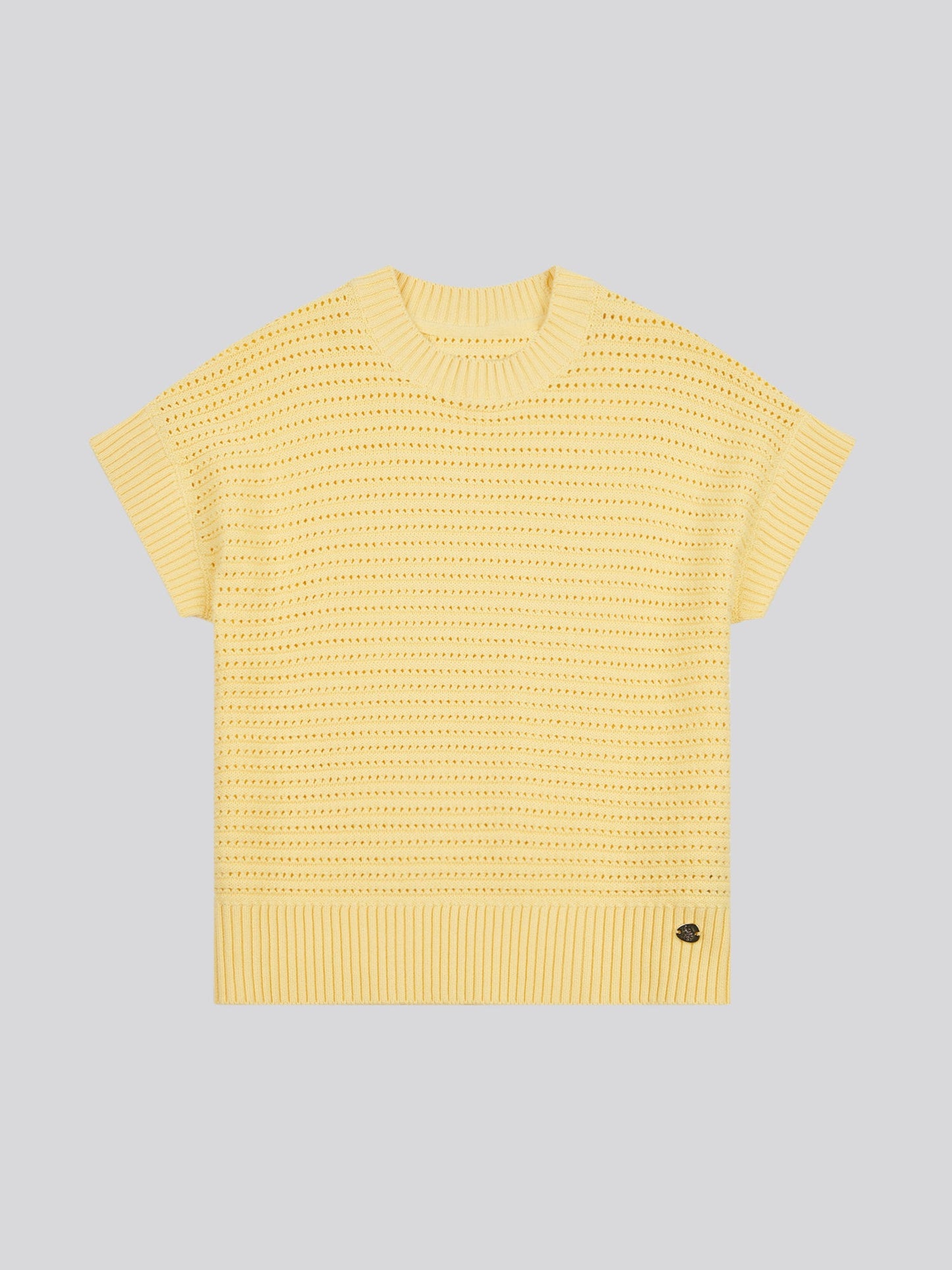 Womens Open Knit Short Sleeve Jumper in Mellow Yellow