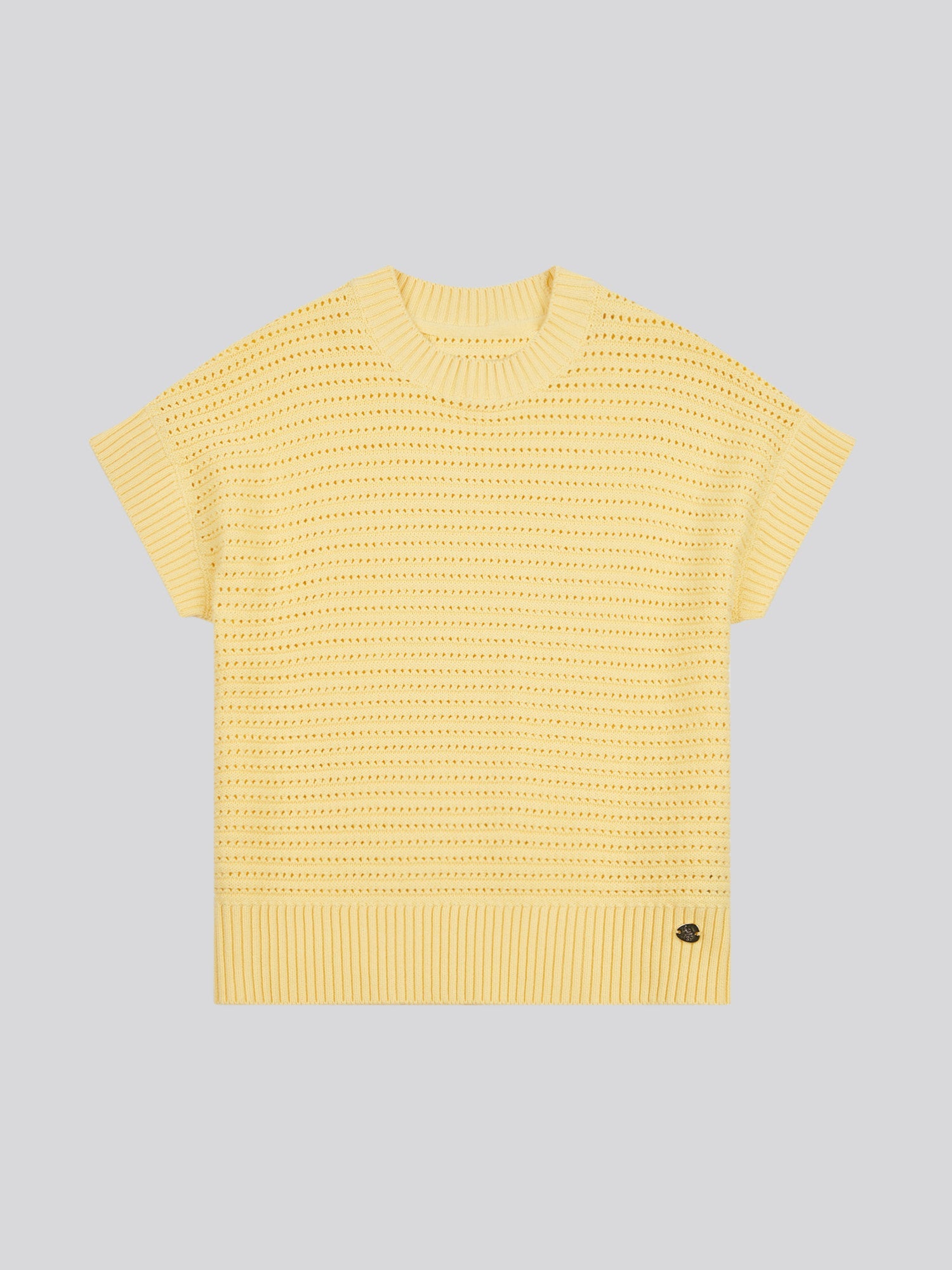 Womens Open Knit Short Sleeve Jumper in Mellow Yellow