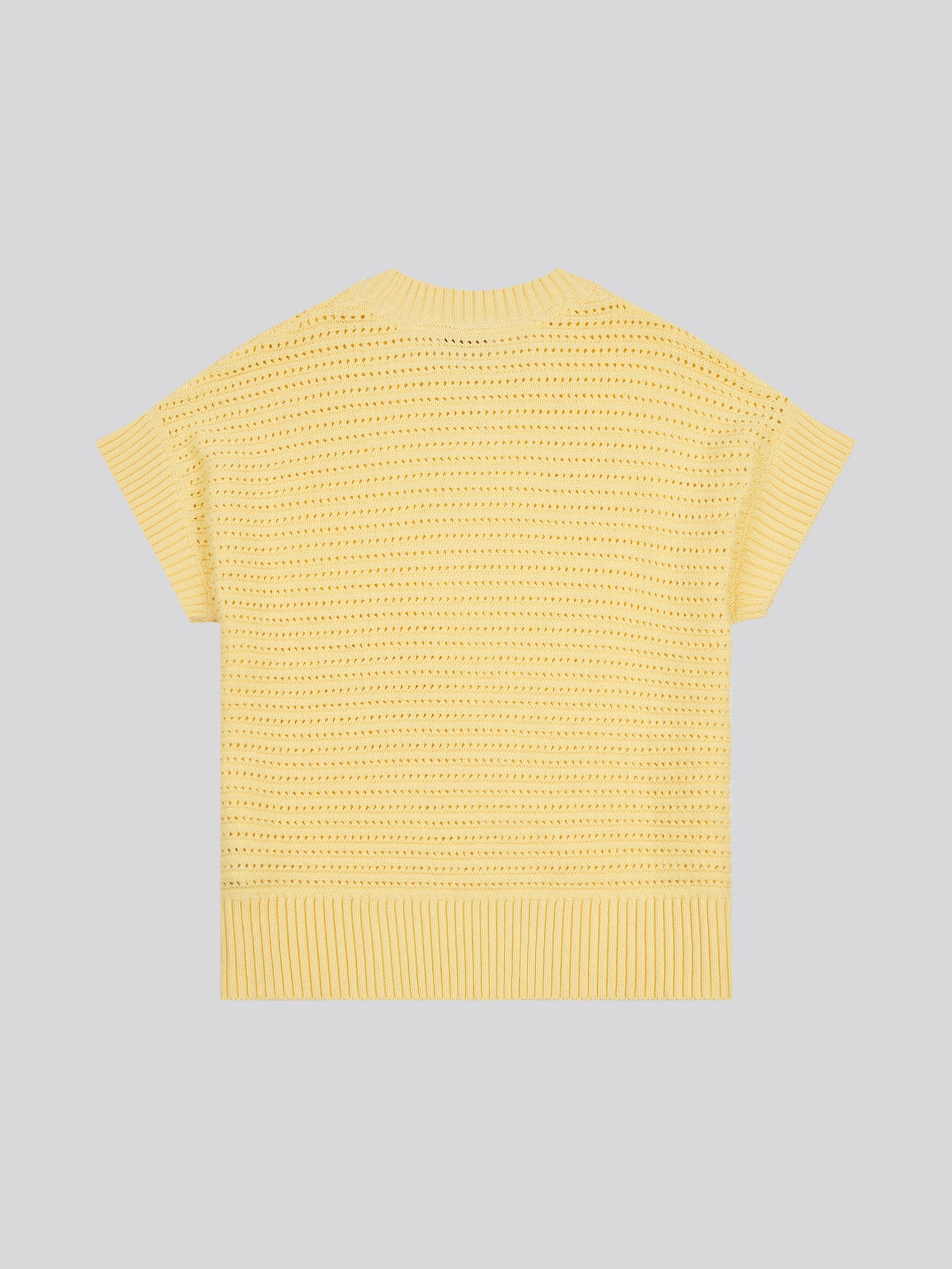 Womens Open Knit Short Sleeve Jumper in Mellow Yellow