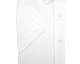 Double Two Men's Plus Size Oxford Casual Shirt in 3 Colour Options 2XL to 5XL (DTLS1109)