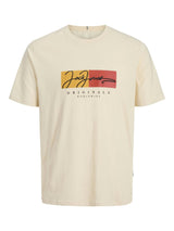 Jack & Jones Short Sleeves T-shirt For Men (JORFREDERIKSBERG BOX SCRIPT) in 3 Colours, S-XXL