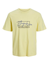 Jack & Jones (12239617) Men's JORSPLASH Branding T-Shirt in 3 Color Options 1XL to 6XL