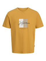 Jack & Jones Short Sleeves T-shirt For Men (JORFREDERIKSBERG BOX SCRIPT) in 3 Colours, S-XXL