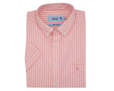 Double Two Men's Pure Cotton Short Sleeve Stripe Shirt in Pink/White 2XL to 5XL