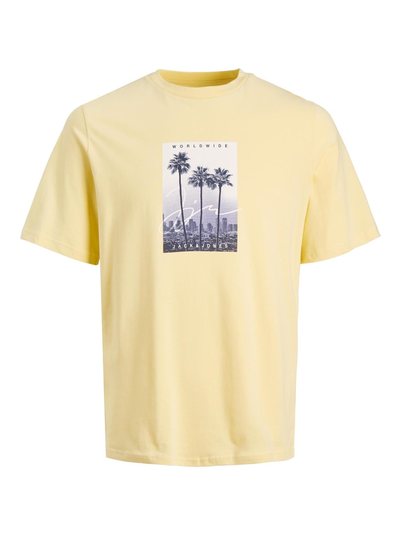 Jack & Jones (12239621) Men's JORSPLASH Photo T-Shirt in 3 Color Options 1XL to 6XL