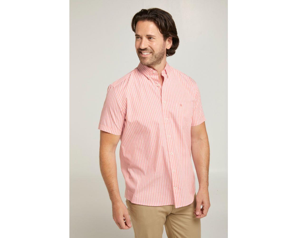 Double Two Men's Pure Cotton Short Sleeve Stripe Shirt in Pink/White 2XL to 5XL