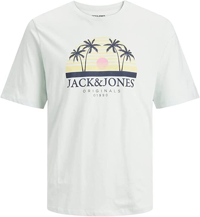 Jack & Jones (12240540) Men's Plus Size JORCODY T-Shirt in 3 Colours 1XL to 6XL
