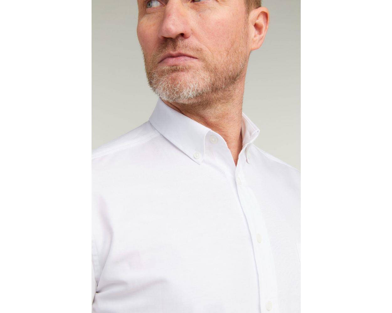 Double Two Men's Plus Size Oxford Casual Shirt in 3 Colour Options 2XL to 5XL (DTLS1109)