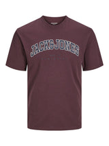 Jack & Jones Men's Big Size Jjecaleb Varsity Crew Neck T-Shirt 2 Colours, 2XL to 6XL