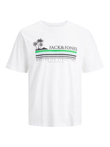 Jack & Jones (12240540) Men's Plus Size JORCODY T-Shirt in 3 Colours 1XL to 6XL