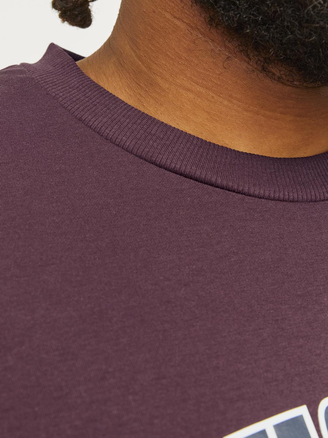Jack & Jones Men's Big Size Jjecaleb Varsity Crew Neck T-Shirt 2 Colours, 2XL to 6XL