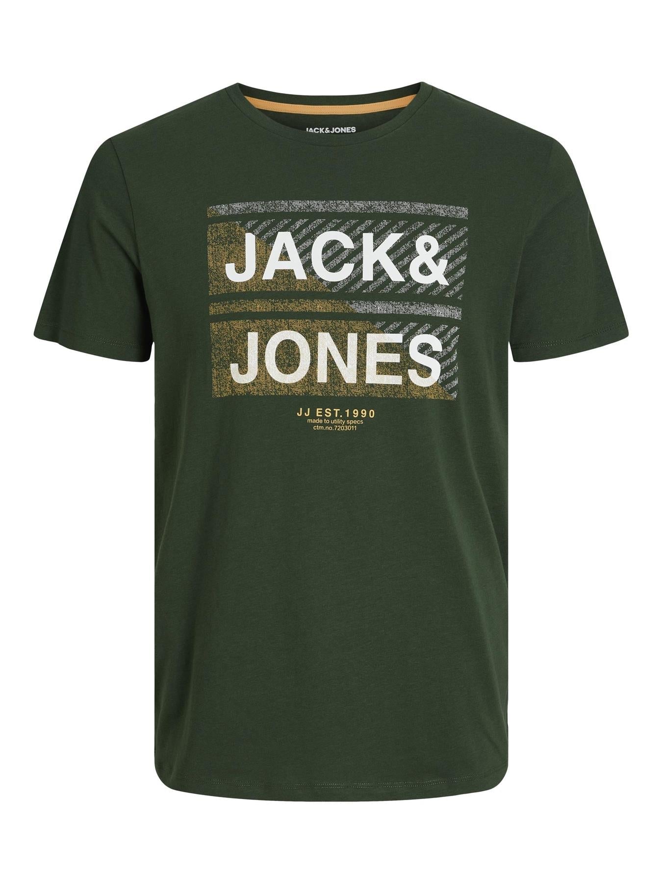 Jack & Jones Plus (12245485) JJKAIN Crew Neck T-Shirt in 2 Colour Options 1XL to 6XL