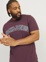 Jack & Jones Men's Big Size Jjecaleb Varsity Crew Neck T-Shirt 2 Colours, 2XL to 6XL