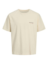 Jack & Jones Short Sleeves T-shirt For Men (JORBOSTON PHOTO) in 3 Colours, S-XXL