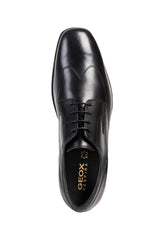 GEOX Mens Classic Versatile Formal Shoes (Calgary) in Black